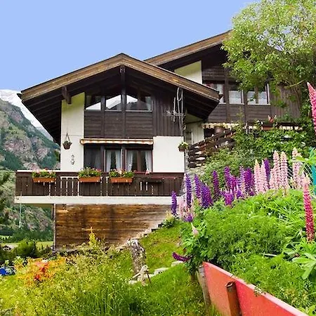 Domek alpejski Chalet Schweny