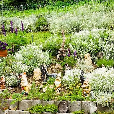 Chalet Schweny * 태쉬